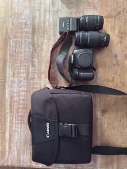 Canon EOS 80D , Canon EF 75-300mm f/4-5.6, EFs 18-55mm