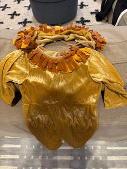 Baby Lion Halloween Costume with Mane