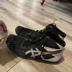 Asics Wrestling Shoes