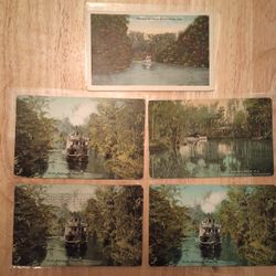 Antique Florida River Postcards (5) *20.00 Firm*