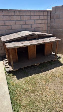 Big Dog House