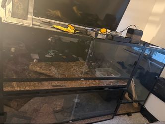 reptile enclosure