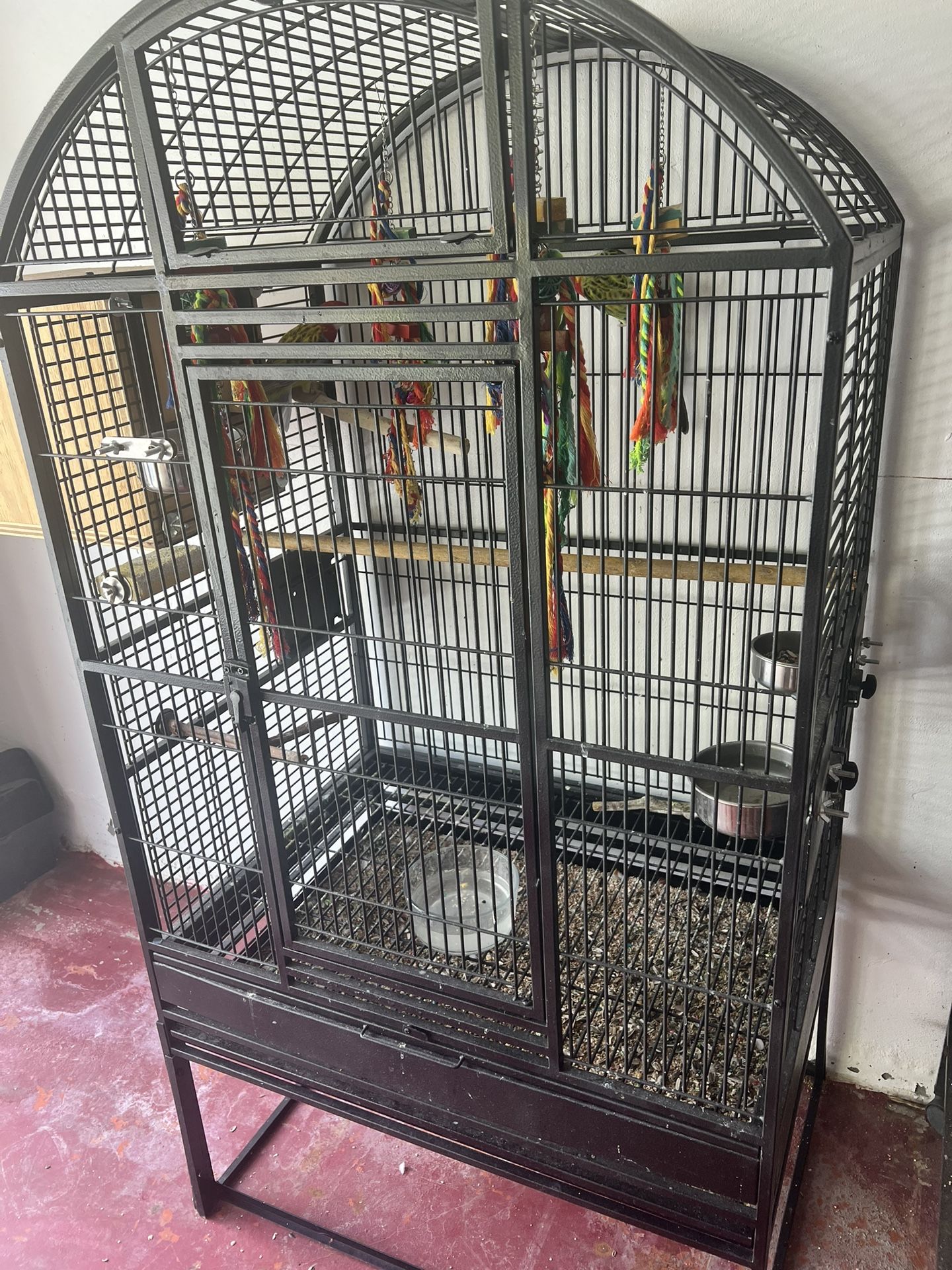 Bird Cage Eastern Rosellas