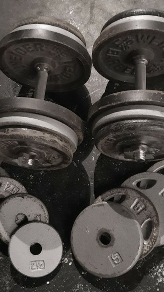 Adjustable Dumbbells 75s