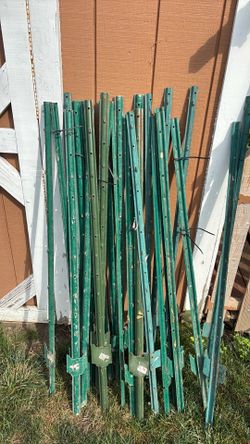 5' Steel "T" fense posts