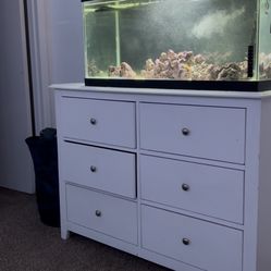 40 G Tank 