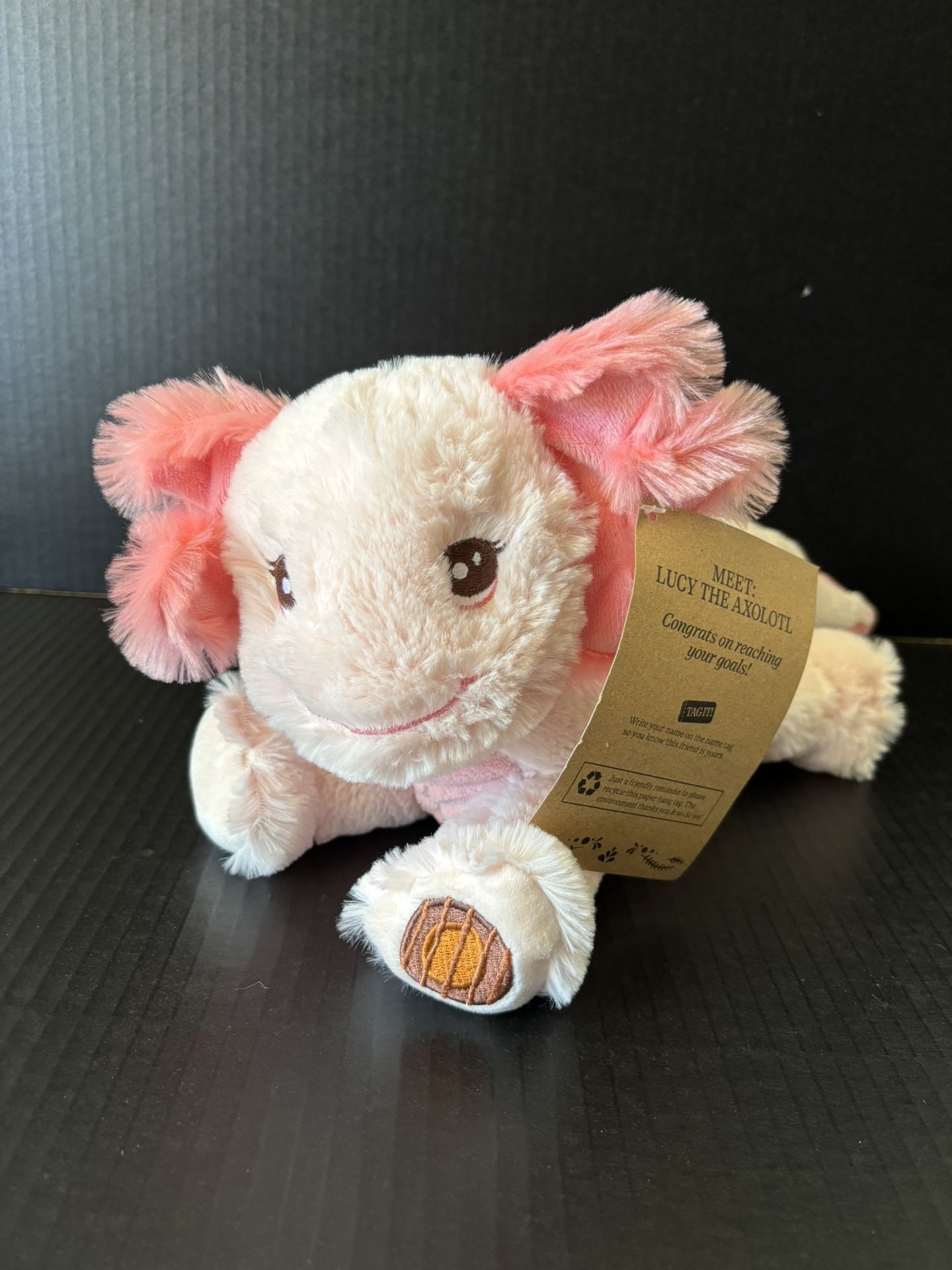 Girl Scout Cookie Rewards 2024 Plush Pink Lucy The Axolotl Own Your Own Magic