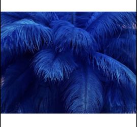 10 Royal Blue Feathers Size 12-14 inch for Wedding Party Centerpiece Home Decor ~ New