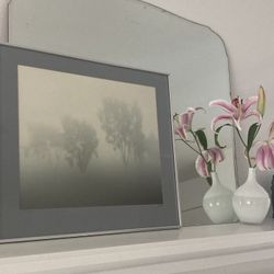 “Ghost Trees” framed art by Rob Joffe $45