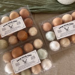 Fresh Eggs-3 Dozen Available For Pickup Today