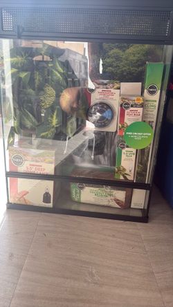 Reptile home