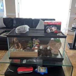 Reptile Terrarium 