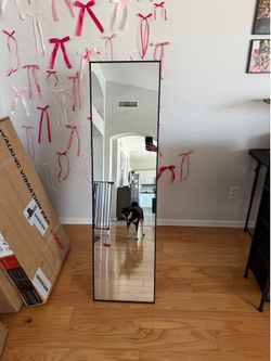BNIB Standing Mirror