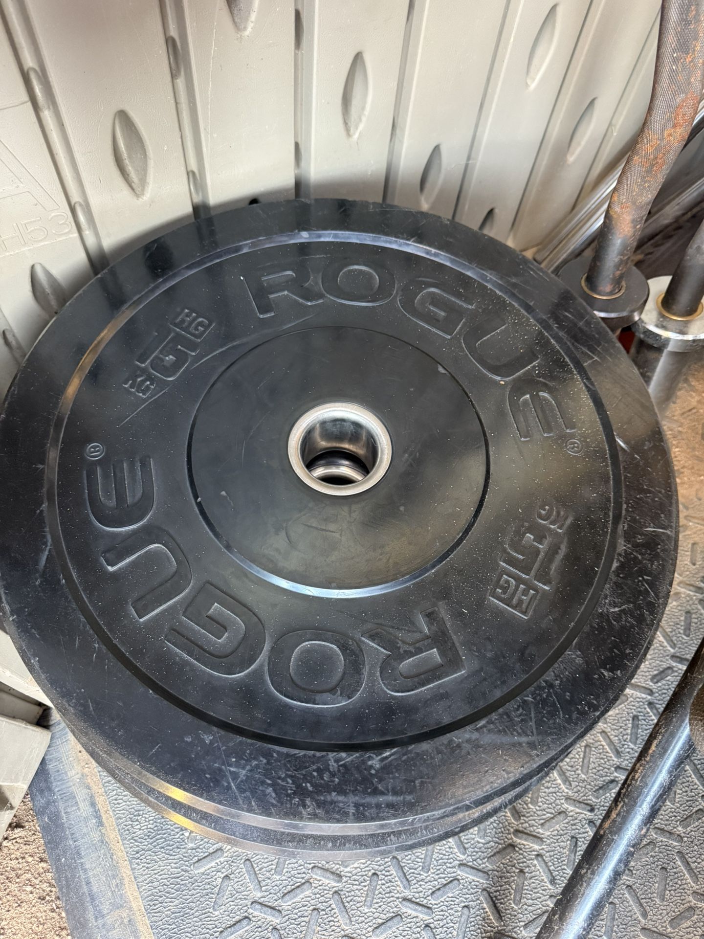 Rogue 33 Lbs Bumper Plates Weights