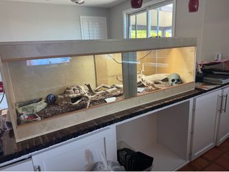 Reptile terrarium