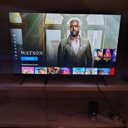 43" Vizio HD TV