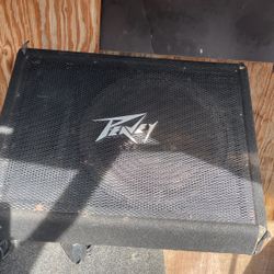 Monitor Peavey 15inchs 