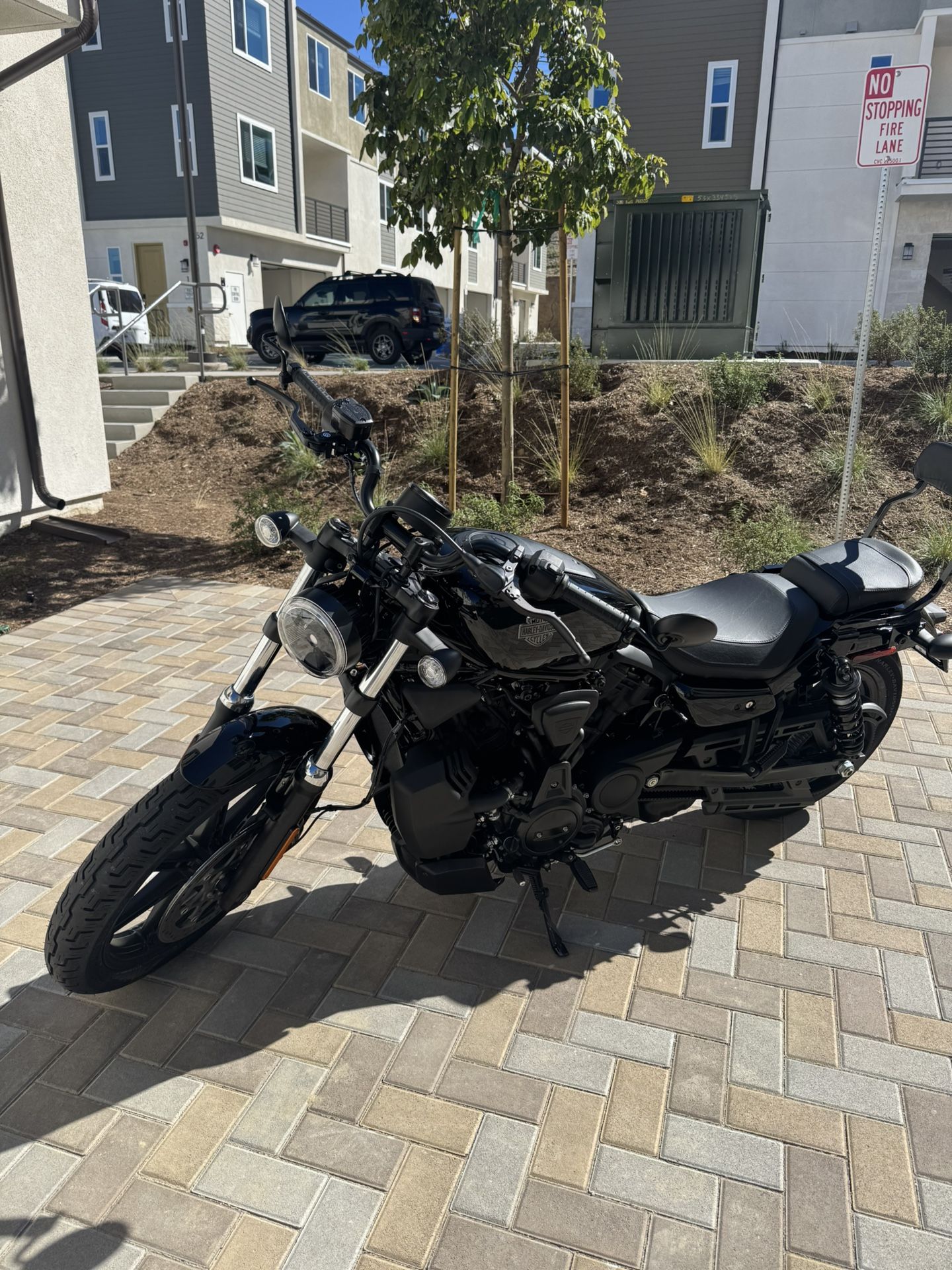 2025 Harley Davidson Nightster