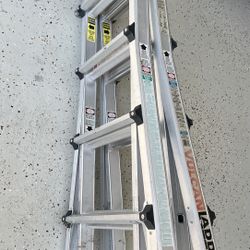 Multi Position Ladder 