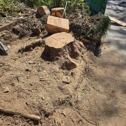 Stumps Grinding $100