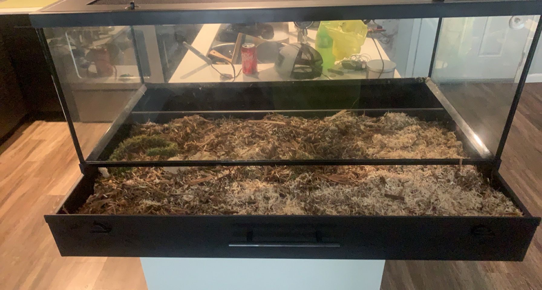 snake habitat