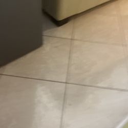 Brand New Mini Fridge 21/2 Feet Tall