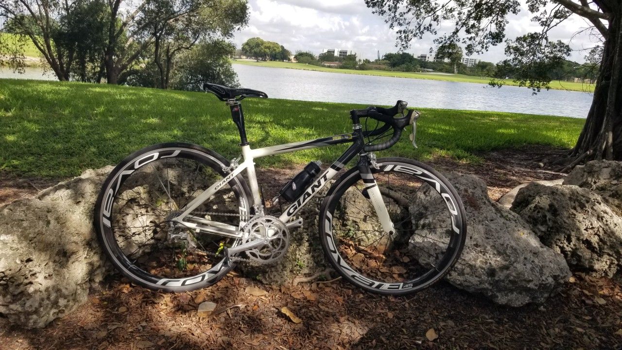 Giant TCR1 