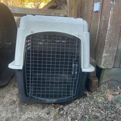 Dog Creat Just Need To Be Cleaned 