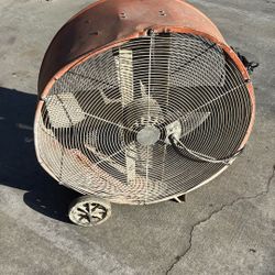 Fan