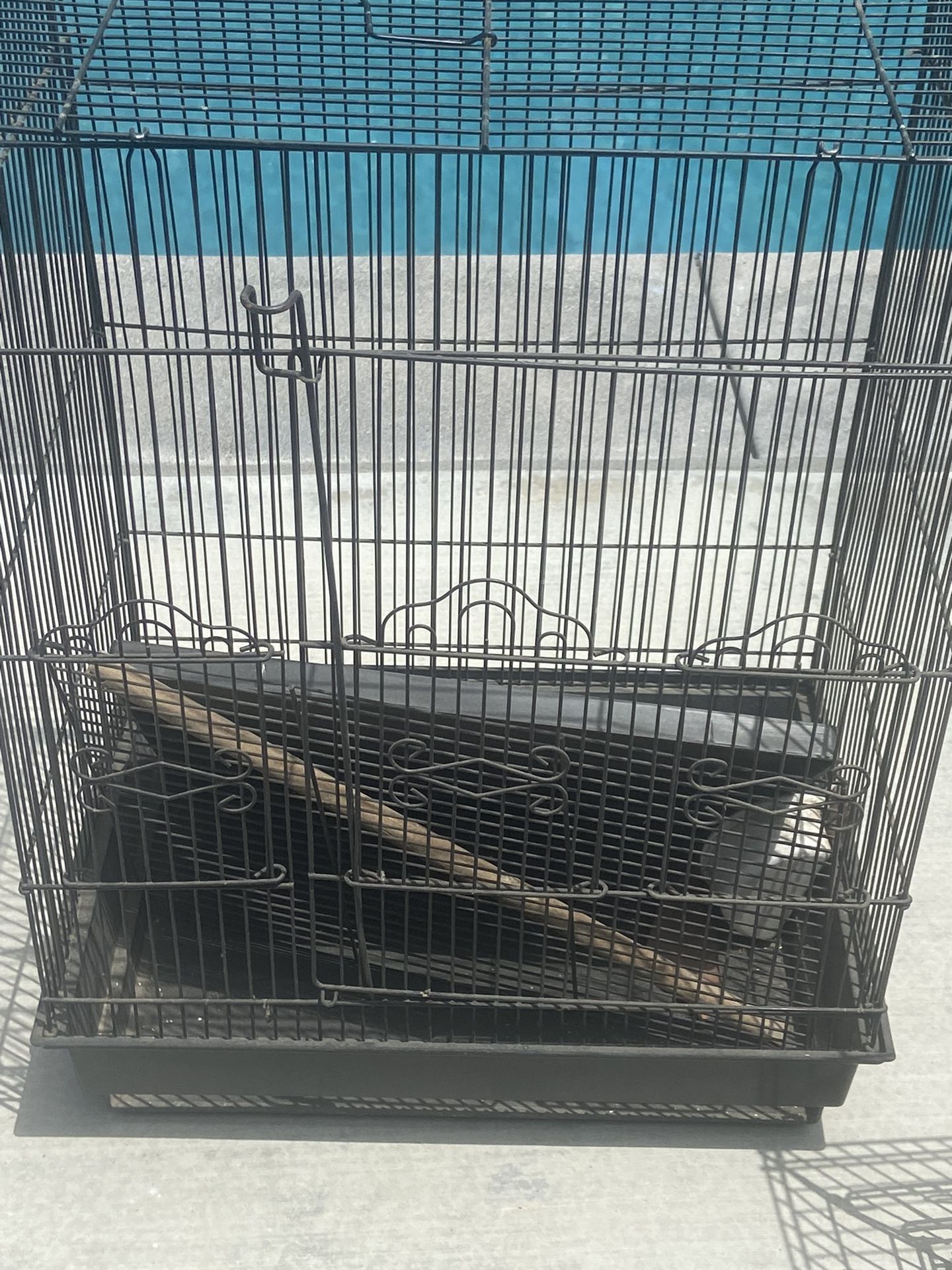 Bird Cages