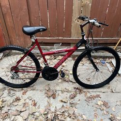Mountain Bike