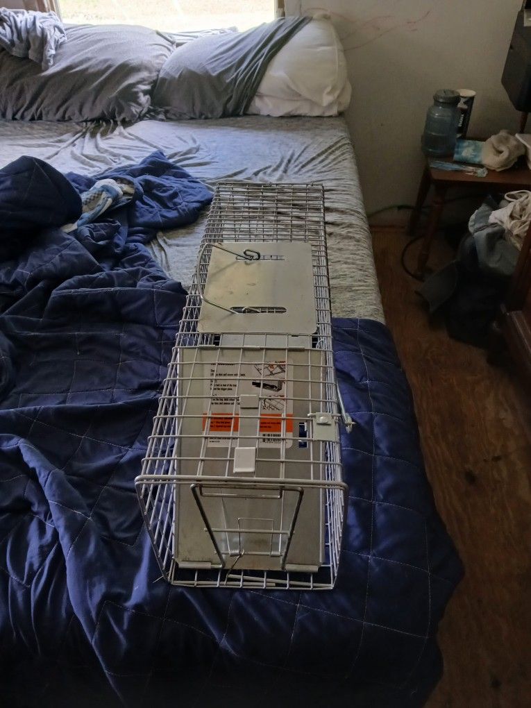 Small Live Trap