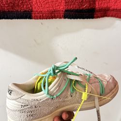 Off white dunks lot 05