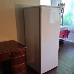 Energy Star Freezer 
