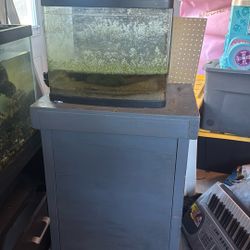 40 Gallon Fish Tank And Stand