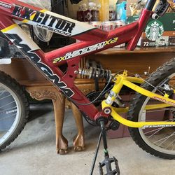 Magna Excitor XP5000 Bike 