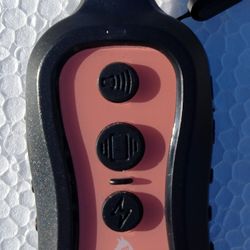 Patpet Dog Training Collar Remote 301