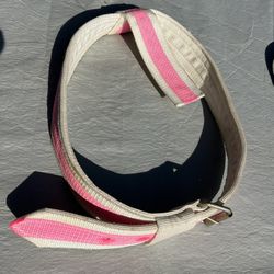 Pony Ride Seat Belts