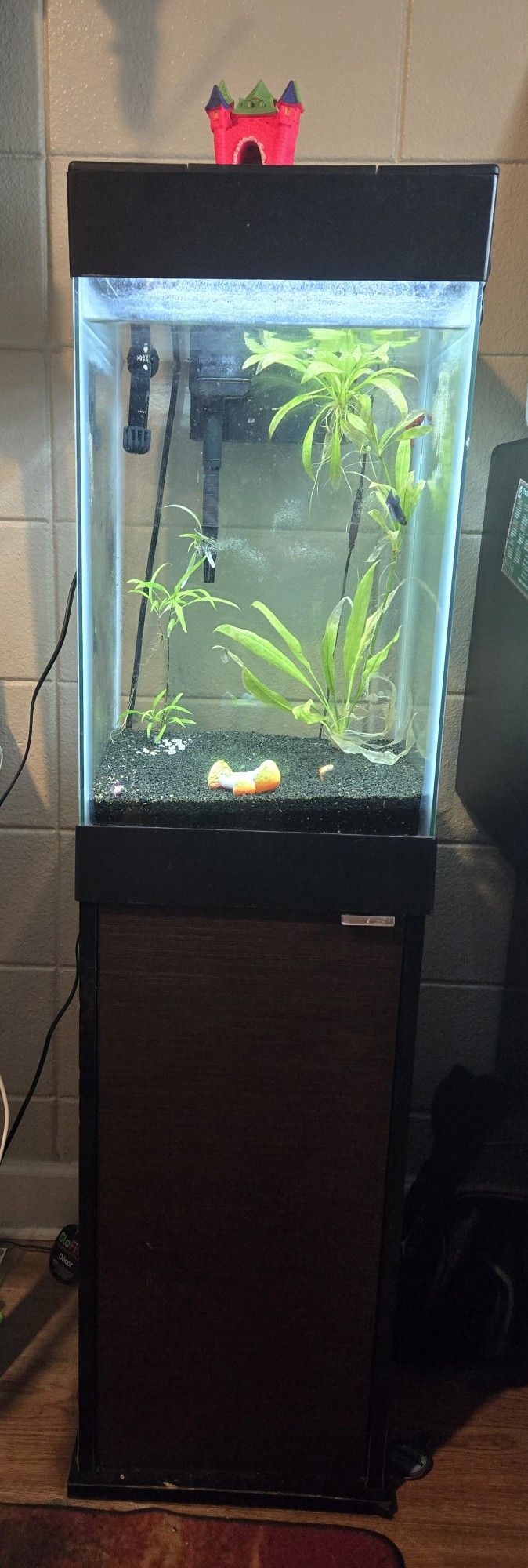 15 Gallon Aqueon Aquarium