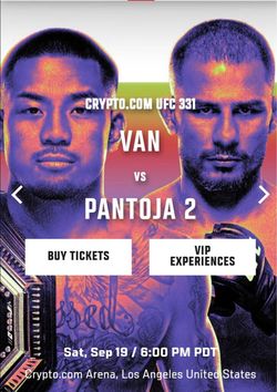 UFC 331