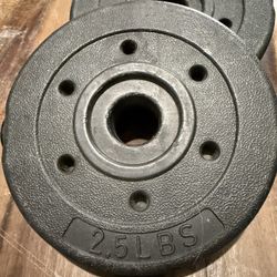 PVC Dumbbells 40 lbs No Olympic 