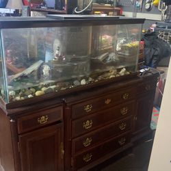 Fish  Tank. 50  Gallons   Canner