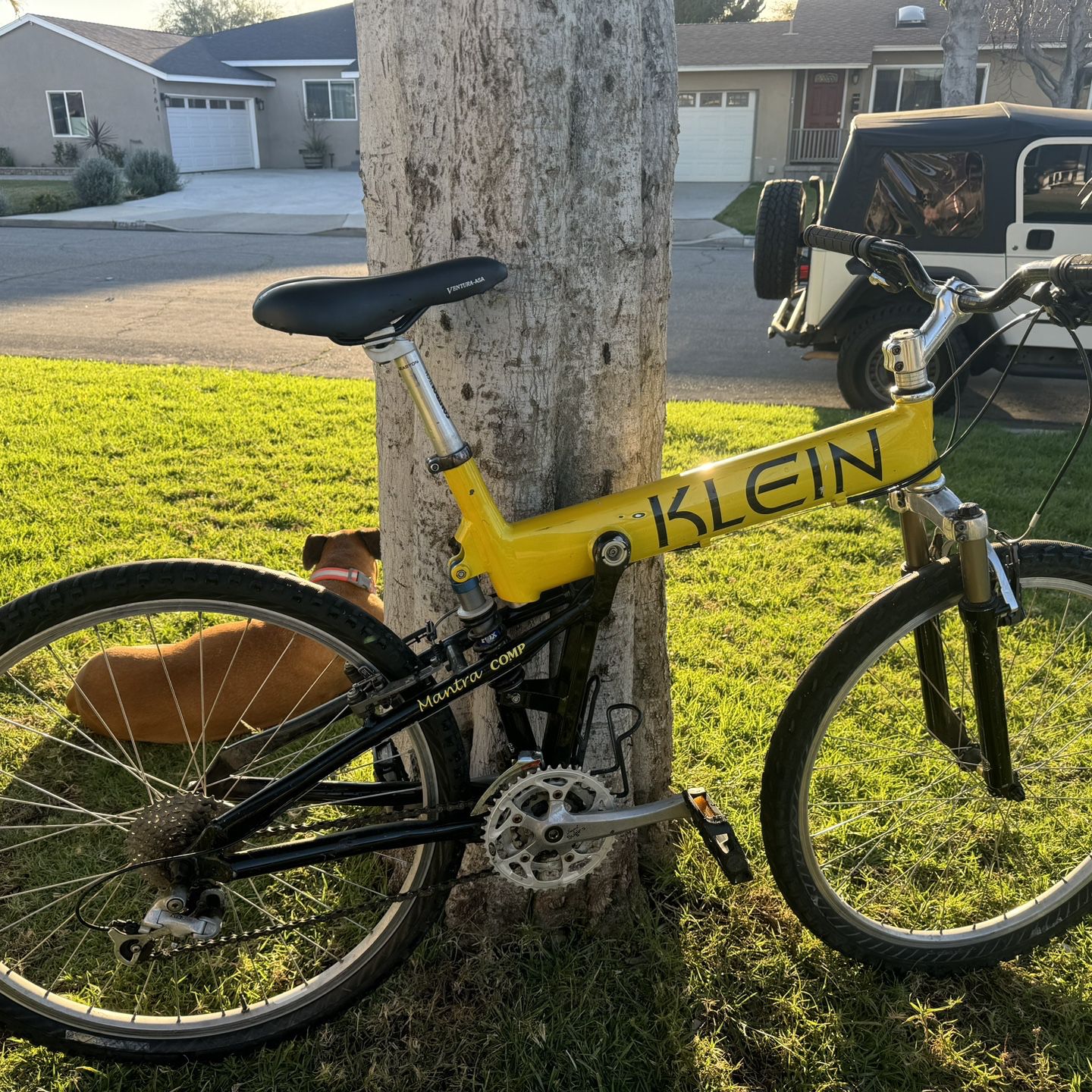 Klein Mantra Comp/vintage Mountain Bike And Giant Iguana Mountain Bike