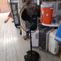 Black Standing Fans $25 Each 