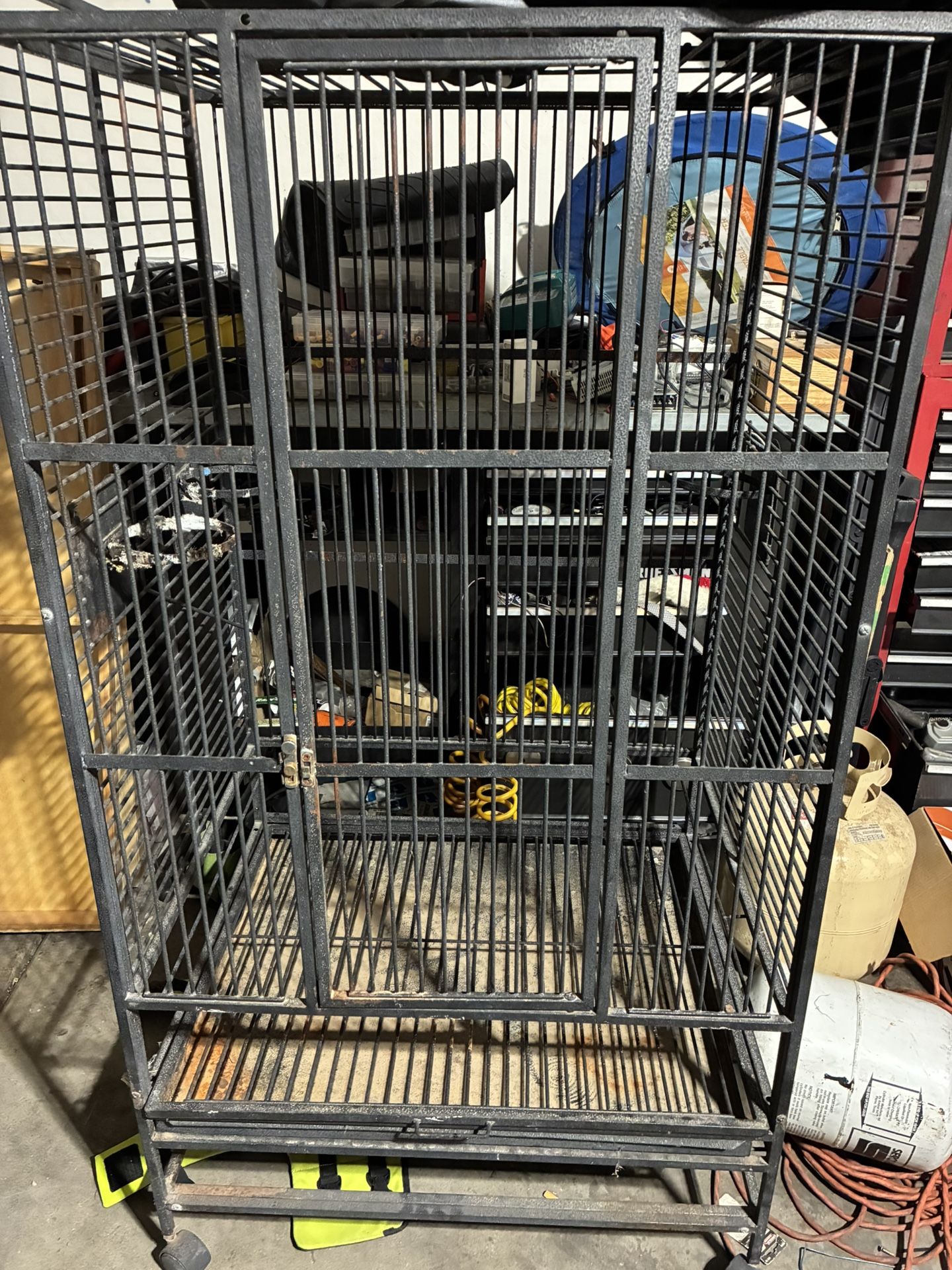 Bird Cage
