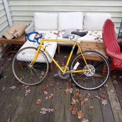 Trek 1988 Road Bike
