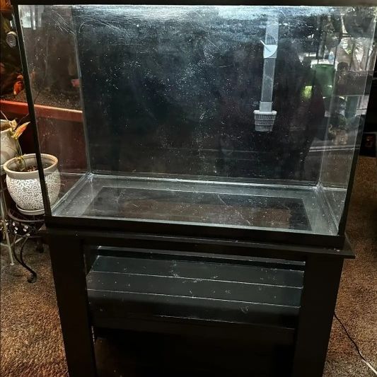 39 Gallon Aquarium With Stand, Filter, And Decorations For Sale