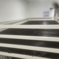 Twin Loft Bed W/mattress