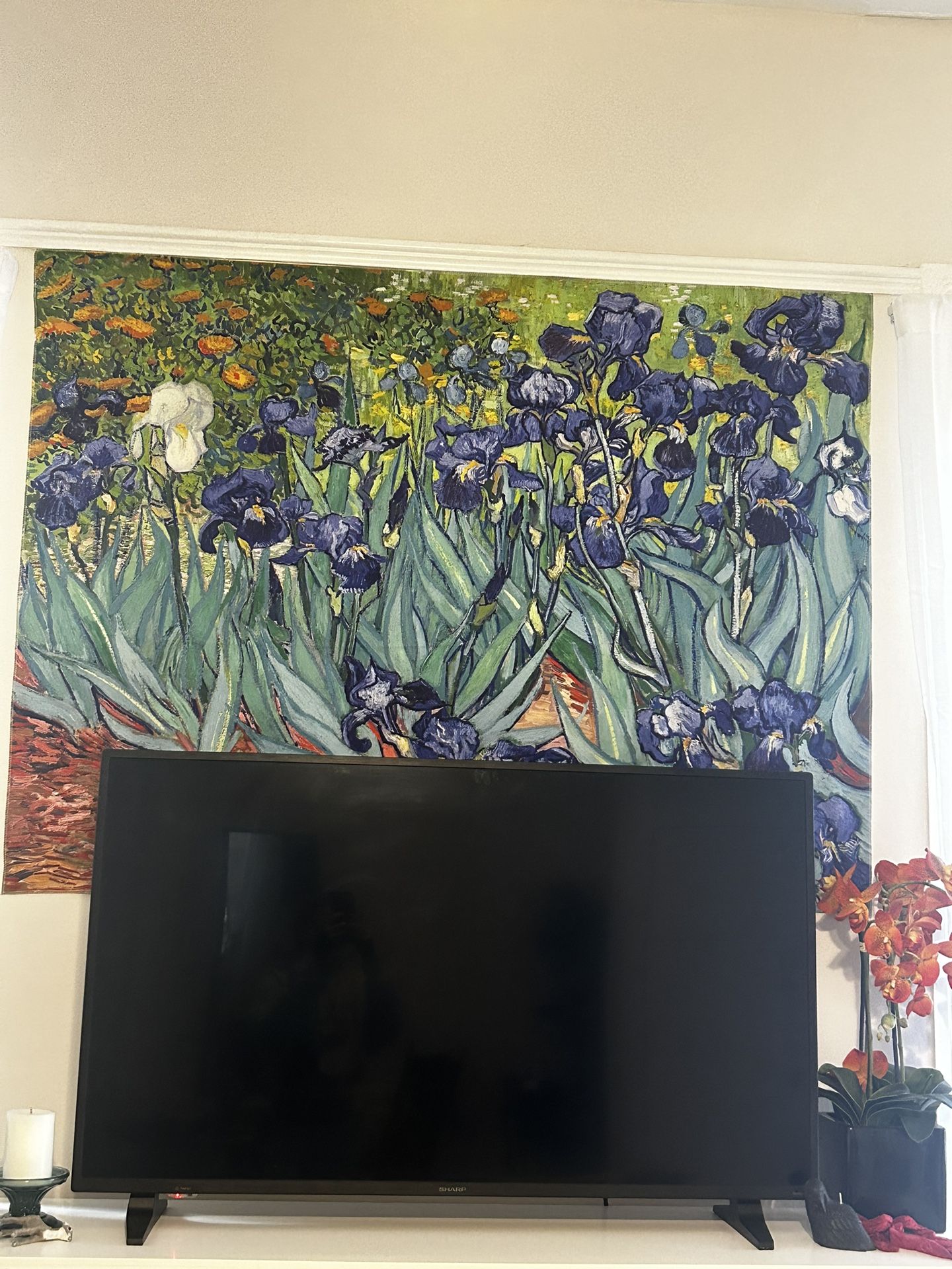 Roku Smart Tv