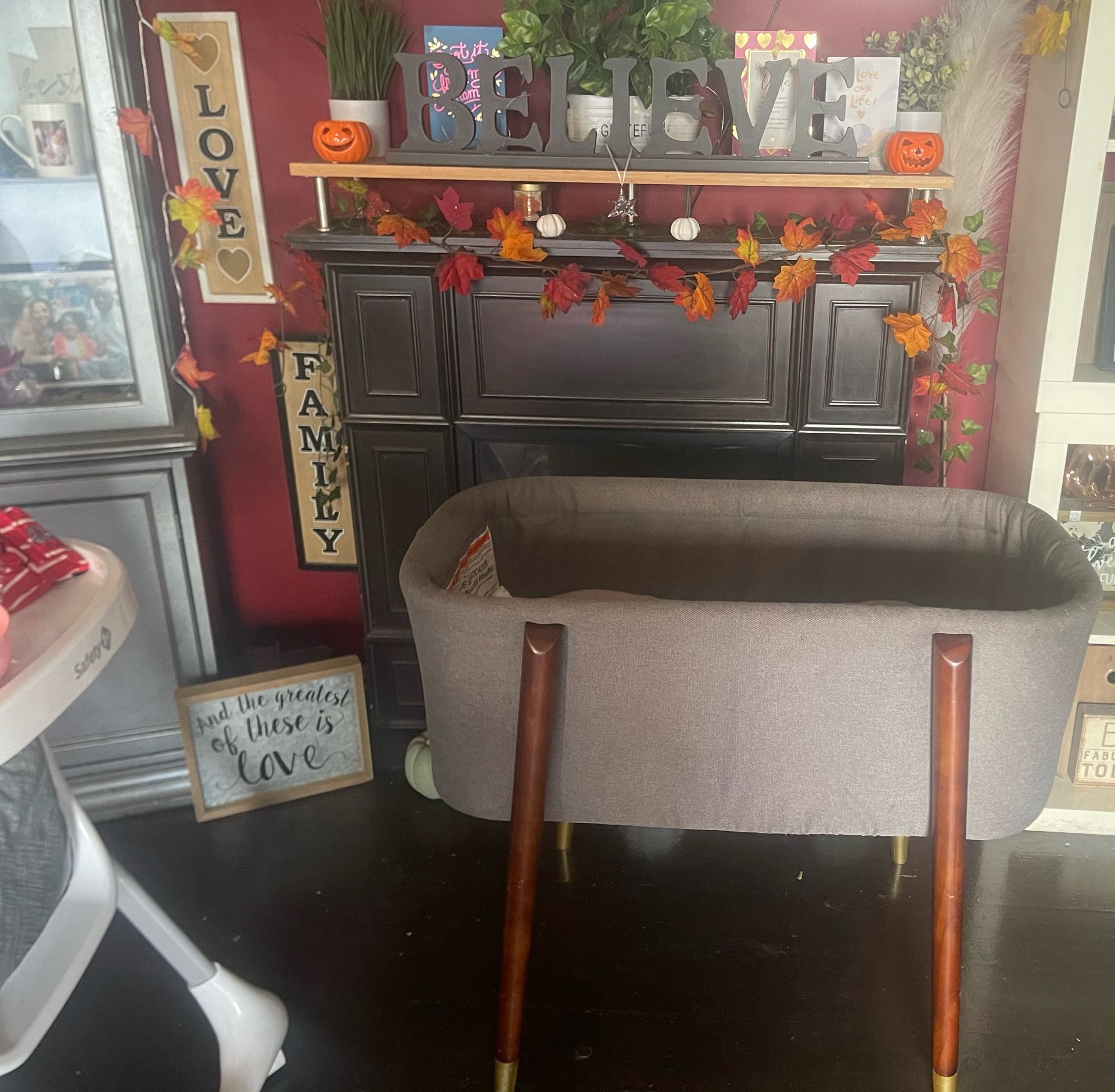 Modern Baby Bassinet